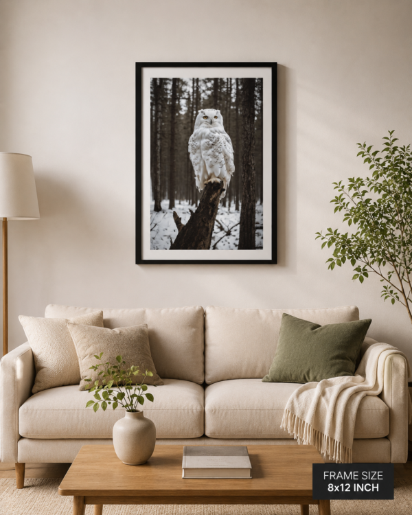 Wall Art Frame – Premium Wildlife Canvas & Poster Frame