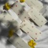 Naqsh | Eidi Envelopes